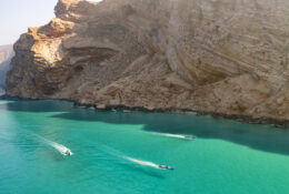 Socotra_2025 (35/76)